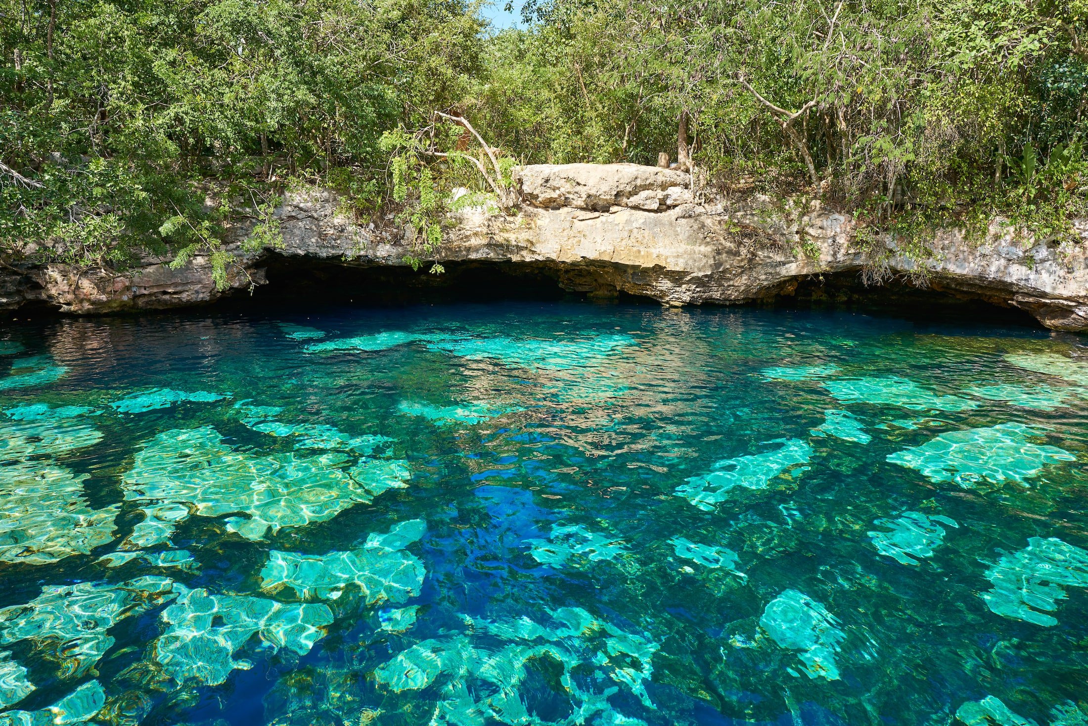 Mystic Cenotes